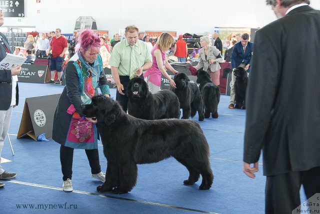 Фотография № 98156