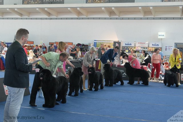 Фотография № 98157