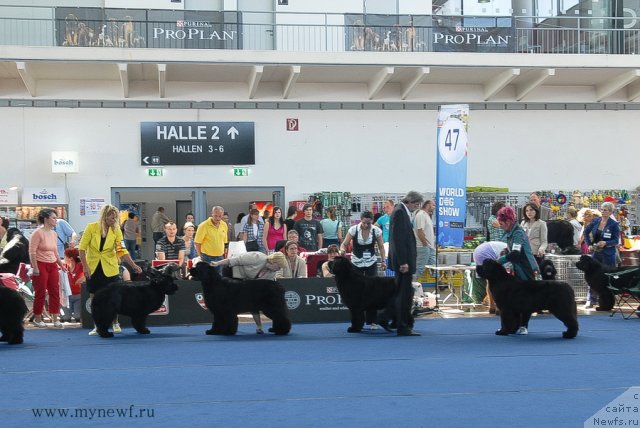 Фотография № 98158