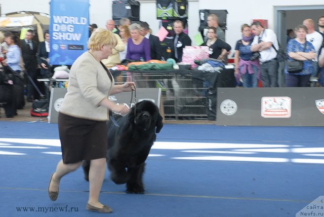 Фотография № 98161