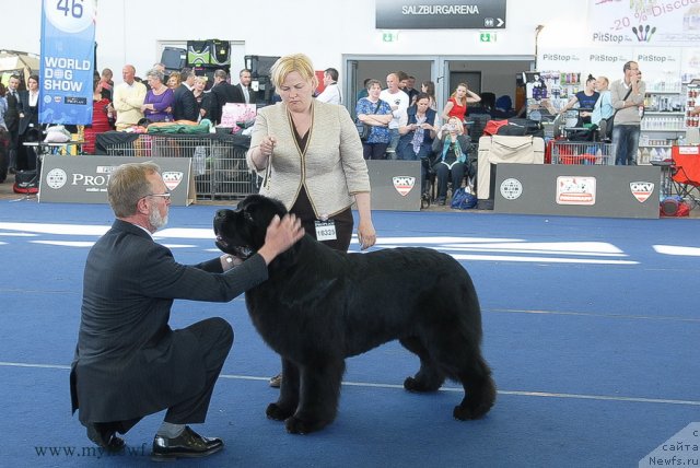 Фотография № 98163