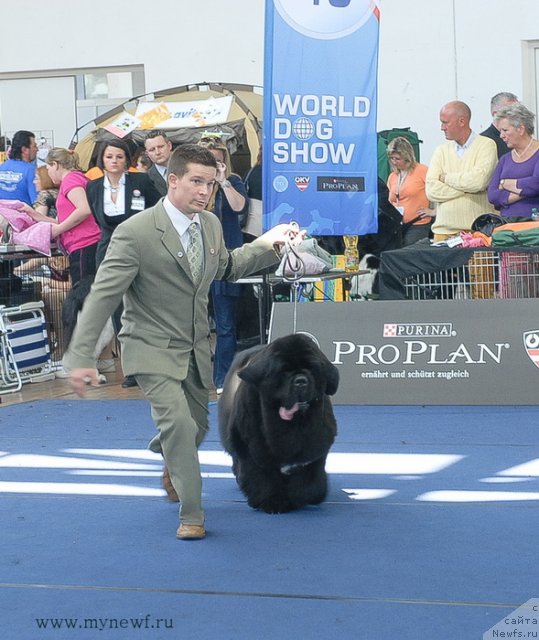 Фотография № 98164