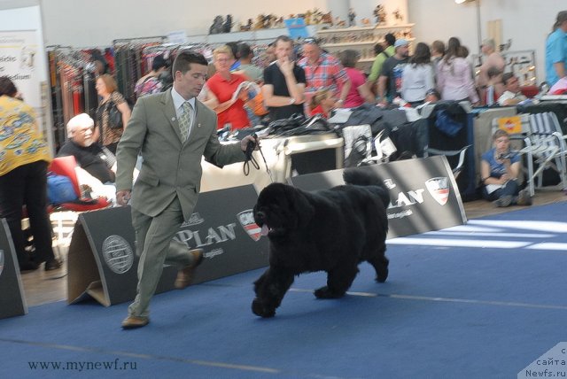 Фотография № 98165