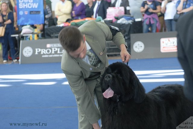 Фотография № 98166