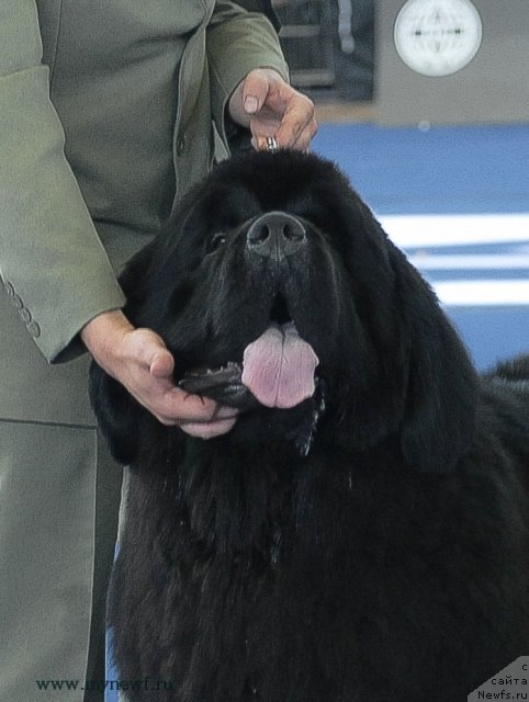 Фотография № 98167