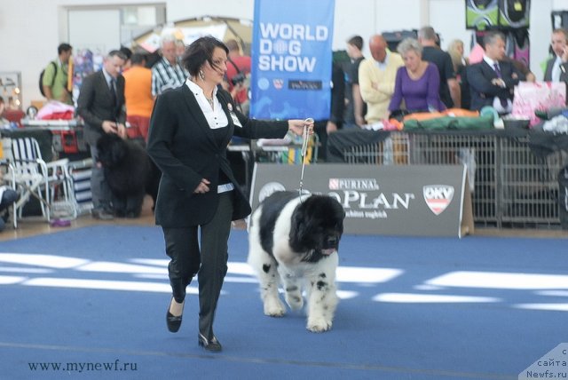 Фотография № 98168