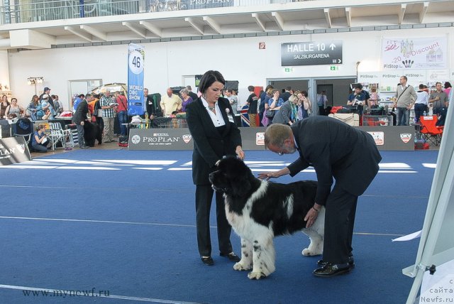 Фотография № 98169