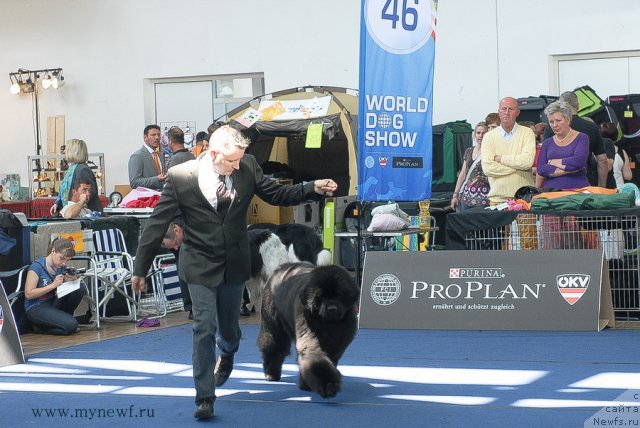 Фотография № 98170