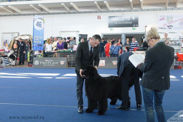 Фотография № 98171