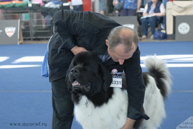 Фотография № 98172