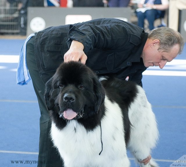 Фотография № 98173