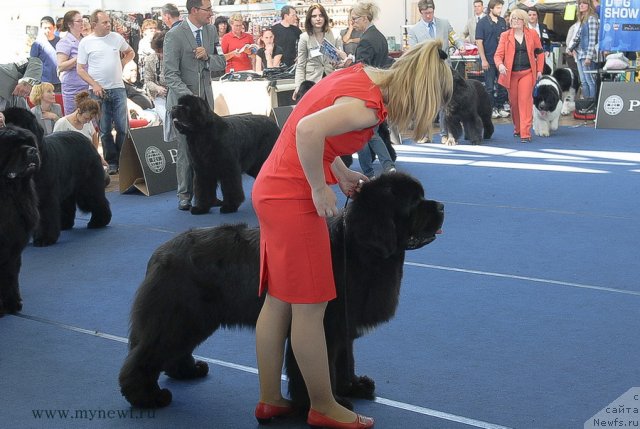 Фотография № 98175