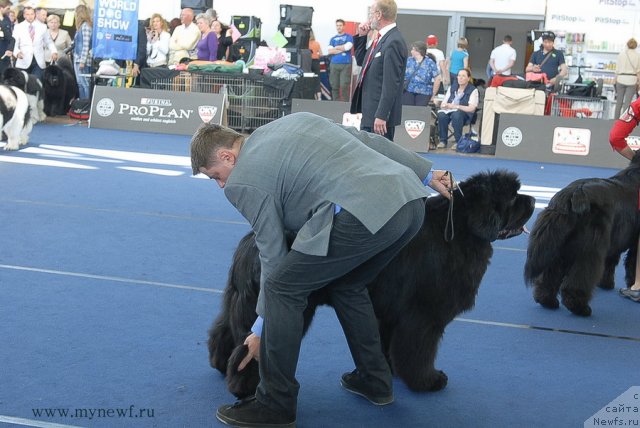 Фотография № 98177