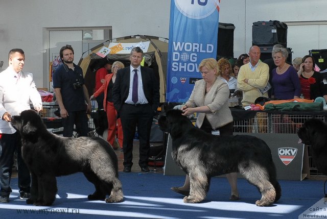 Фотография № 98179