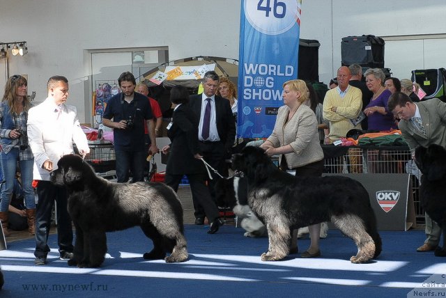 Фотография № 98180