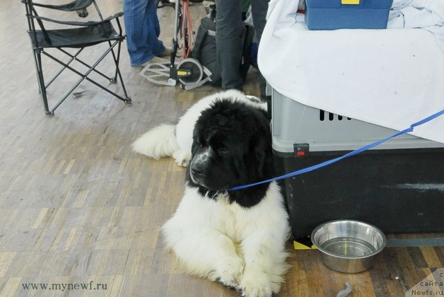 Фотография № 98188