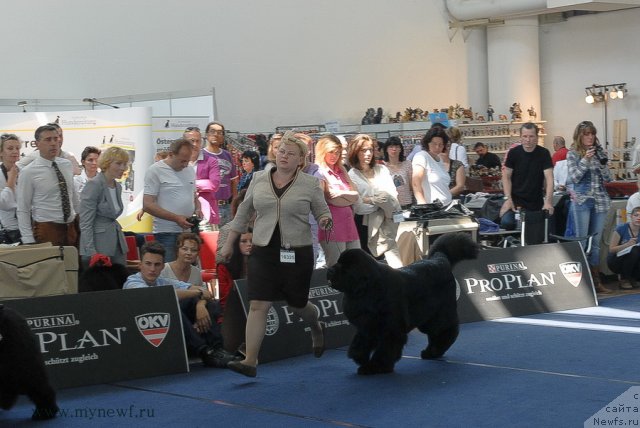 Фотография № 98190