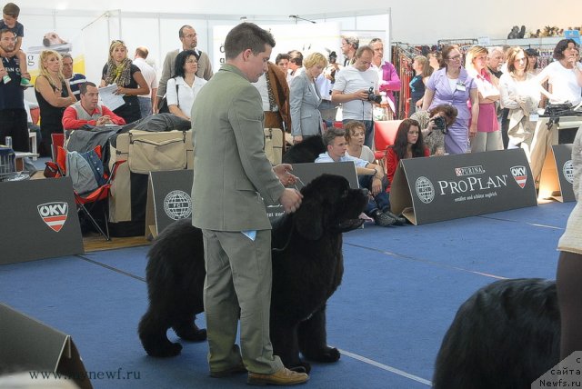 Фотография № 98192