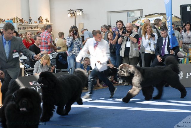 Фотография № 98195