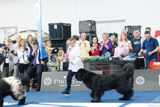 Фотография № 98198