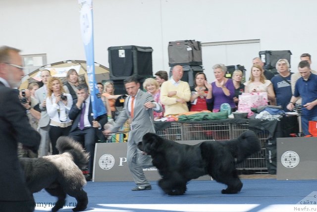 Фотография № 98199