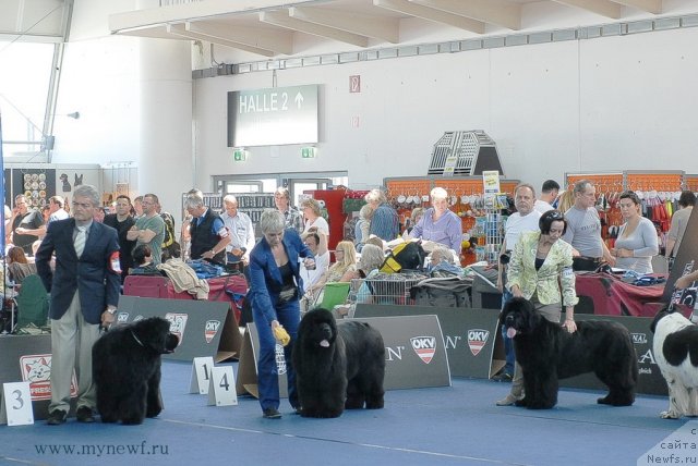 Фотография № 98207