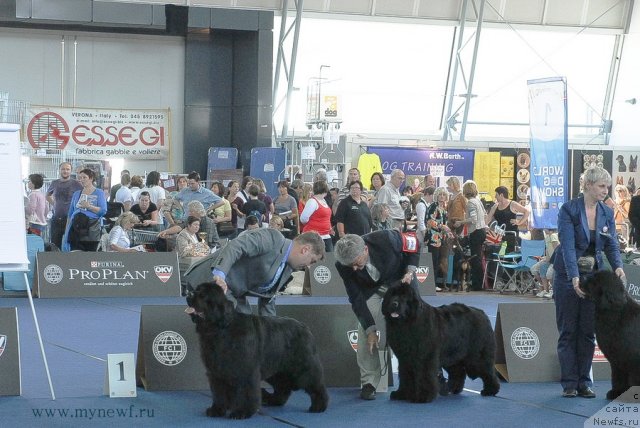 Фотография № 98209