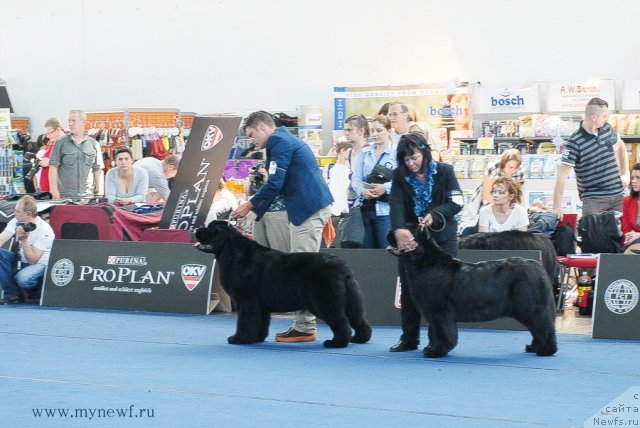 Фотография № 98216