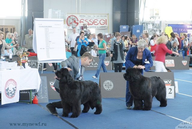 Фотография № 98218