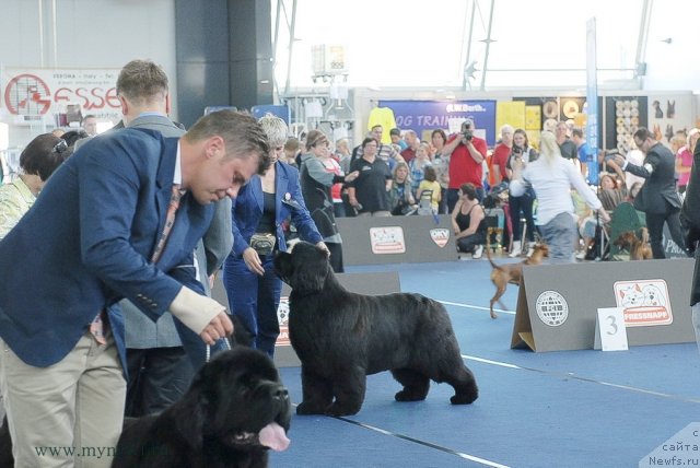 Фотография № 98221