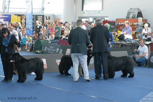 Фотография № 98223