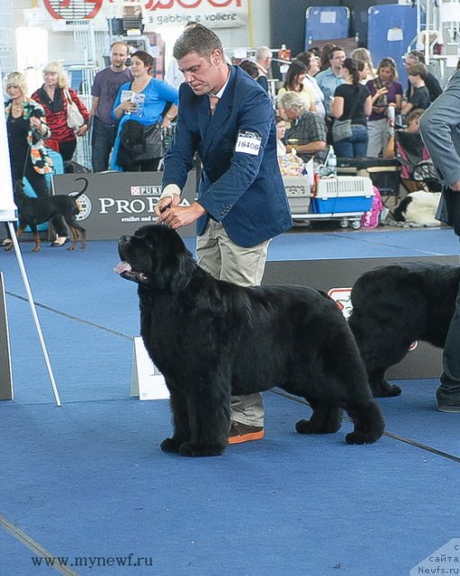 Фотография № 98225