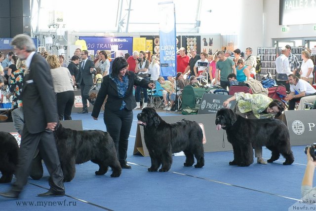 Фотография № 98227