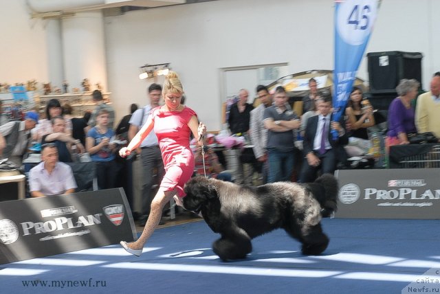 Фотография № 98232