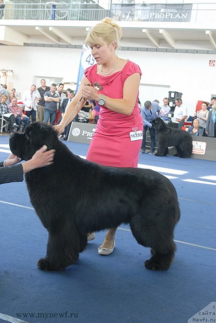 Фотография № 98234