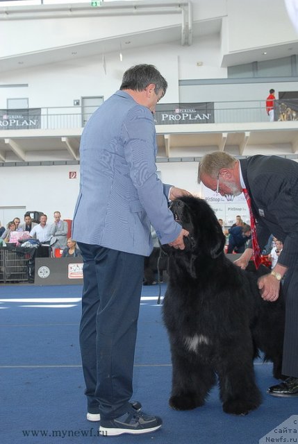 Фотография № 98240