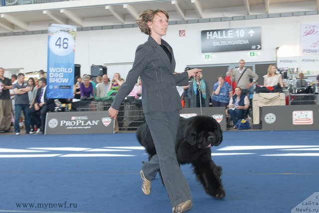 Фотография № 98242