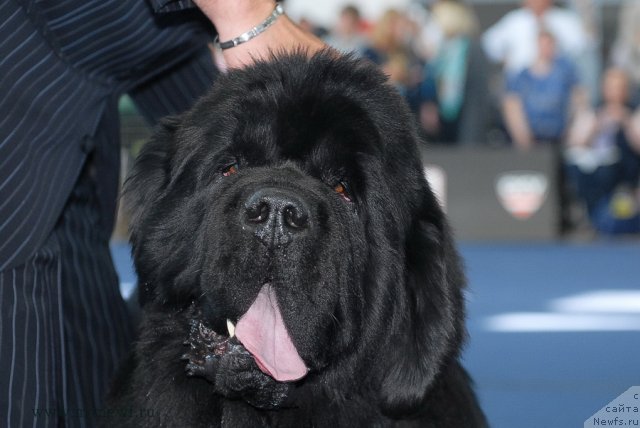 Фотография № 98245