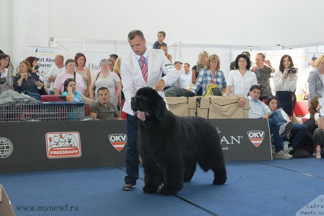 Фотография № 98247