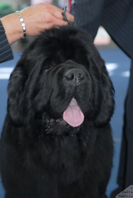 Фотография № 98248