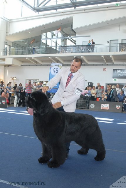 Фотография № 98253