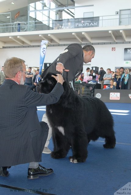 Фотография № 98255