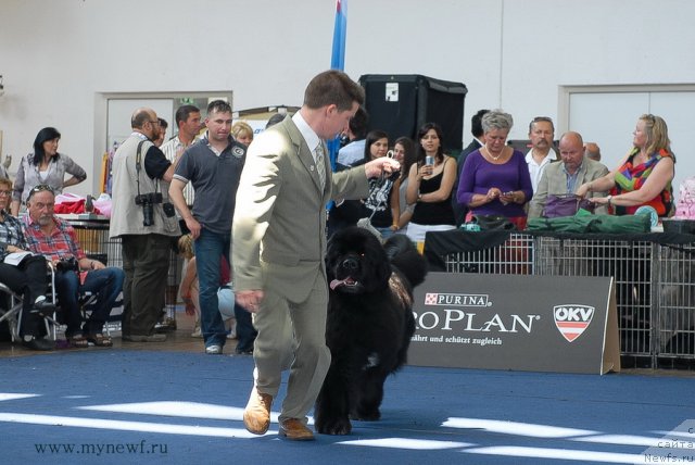 Фотография № 98256