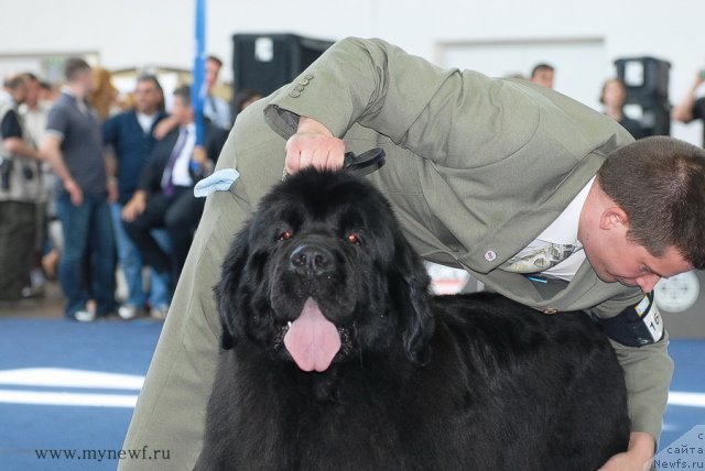 Фотография № 98257