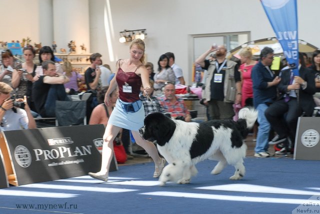 Фотография № 98259