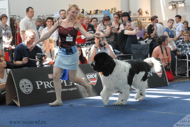 Фотография № 98260