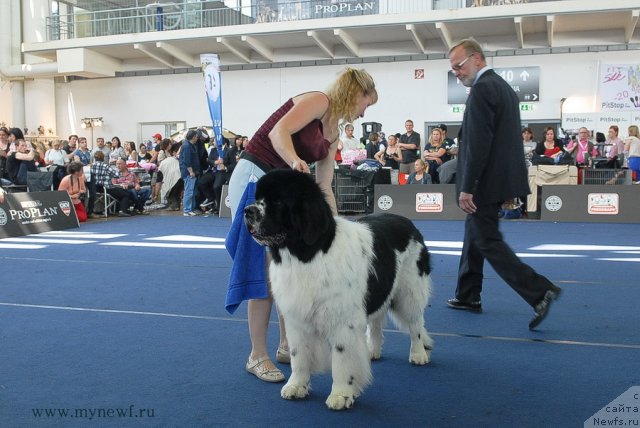 Фотография № 98261