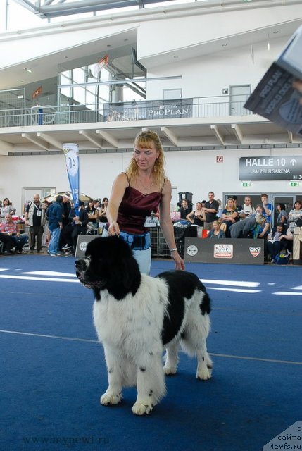 Фотография № 98262