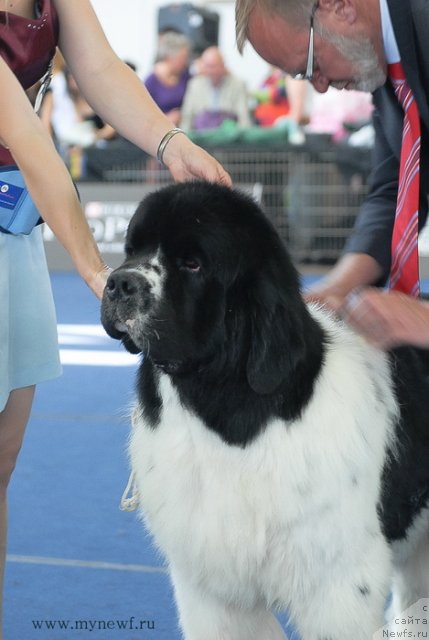 Фотография № 98264