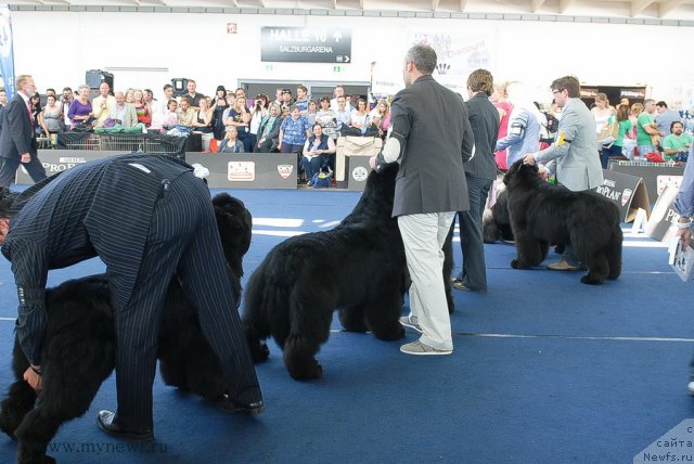 Фотография № 98265